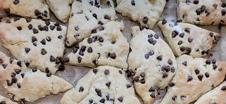 Chocolate Chip SCONUTS